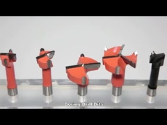 Mata Bor Lubang Kayu Ujung Sisipan Tungsten Carbide Shank 10x20mm